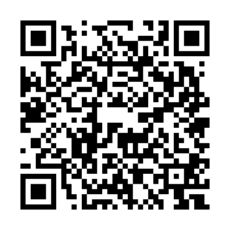 QR code for WP56007