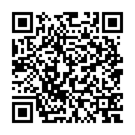 QR code for WP86729