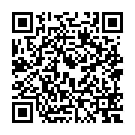 QR code for WP97991
