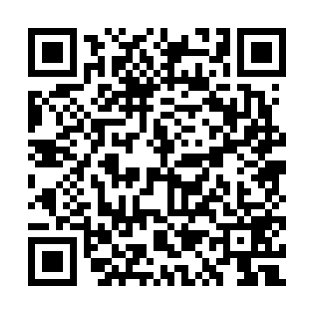 QR code for WQ06595
