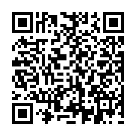 QR code for WQ13729