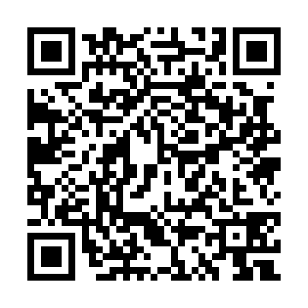 QR code for WS10384