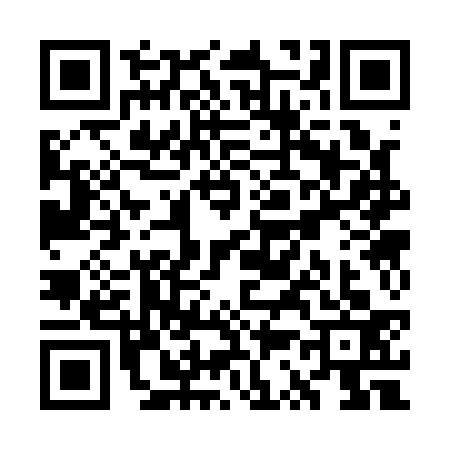 QR code for WS31333