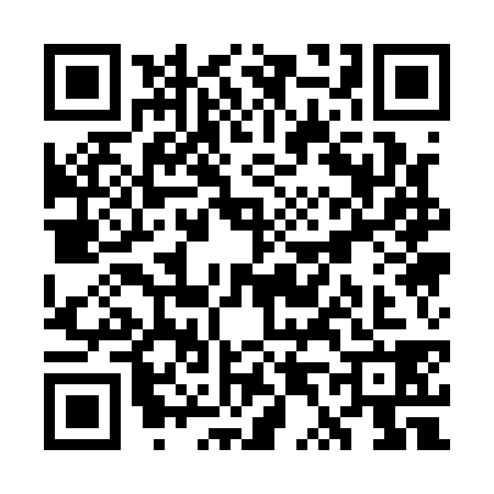 QR code for WT11387