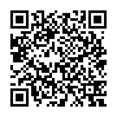 QR code for WT13397