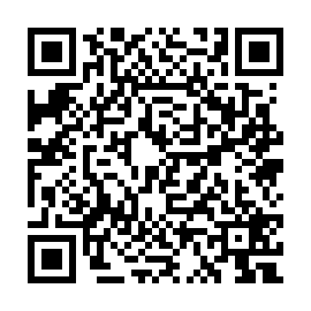 QR code for WV17295