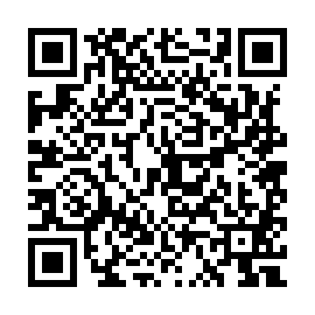QR code for WV29817