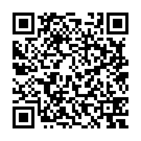 QR code for WX38393