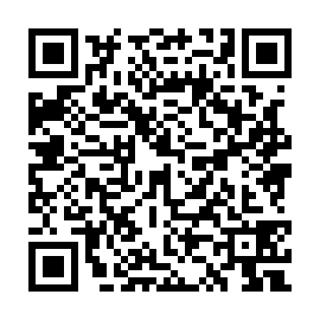 QR code for WZ81381