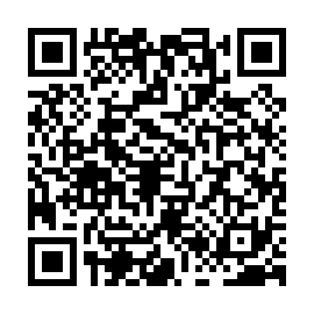 QR code for XB10313