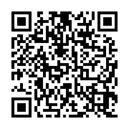 QR code for XB29334