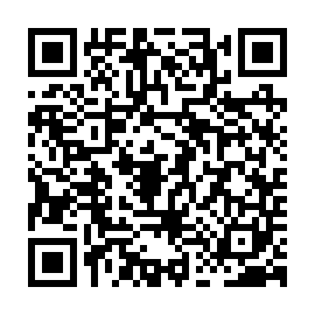 QR code for XD32411