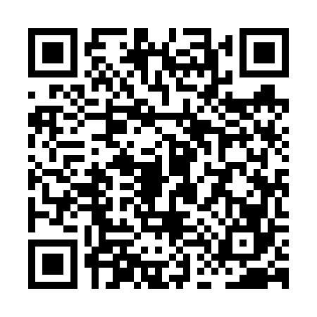 QR code for XD96669