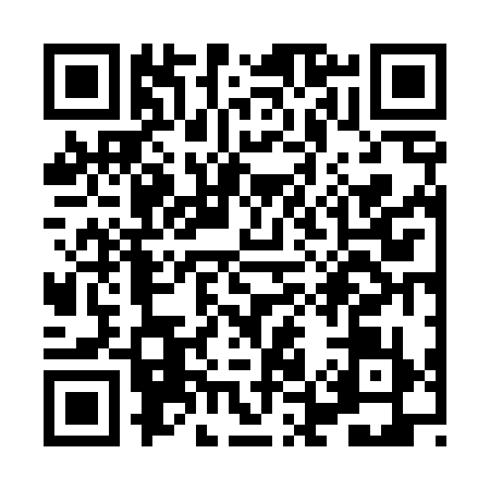 QR code for XE64393