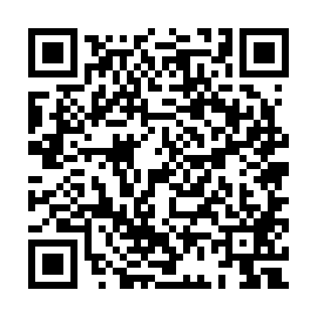 QR code for XF52894
