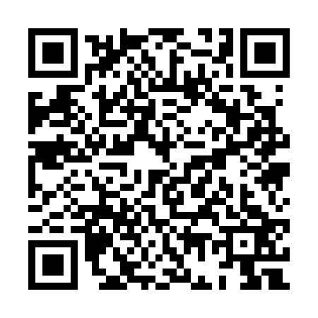 QR code for XG13239