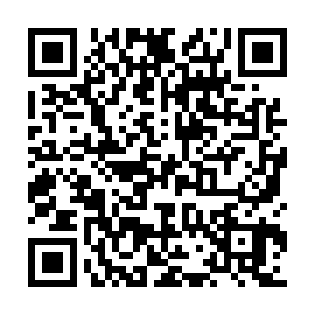 QR code for XG95208
