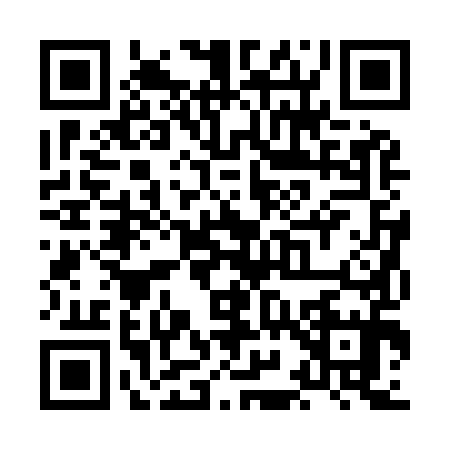 QR code for XI29959