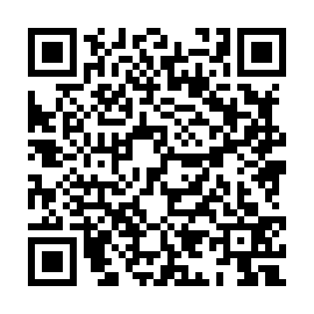 QR code for XI88333
