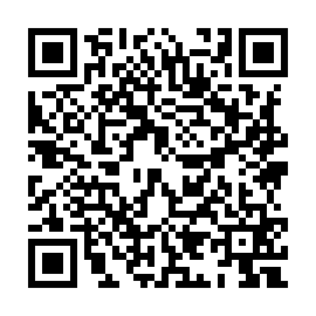 QR code for XI99611