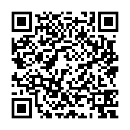 QR code for XJ90385