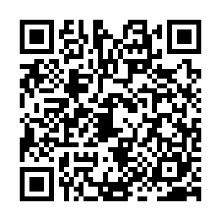 QR code for XK13653