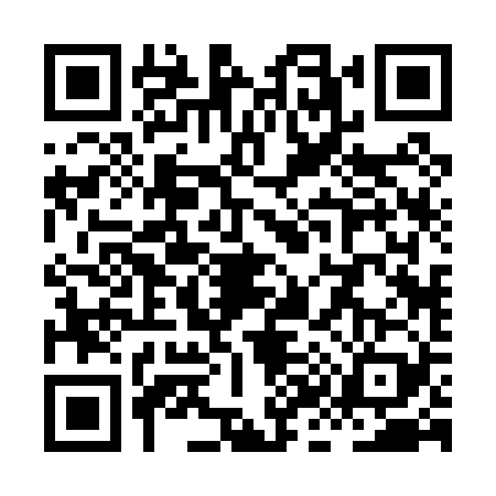 QR code for XK20291