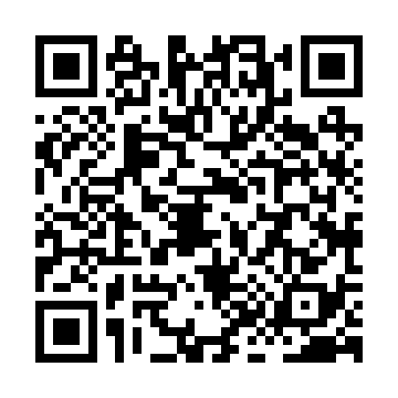 QR code for XK82384