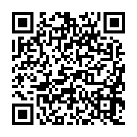 QR code for XN38579