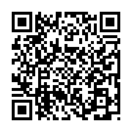 QR code for XO10385