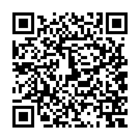 QR code for XR61666