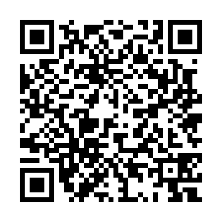 QR code for XT50385