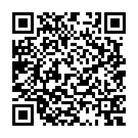 QR code for XV04711