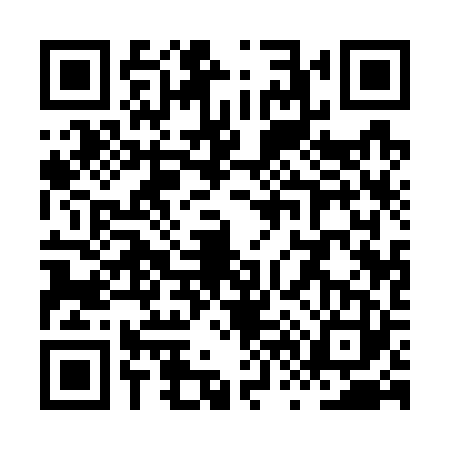 QR code for XV17239