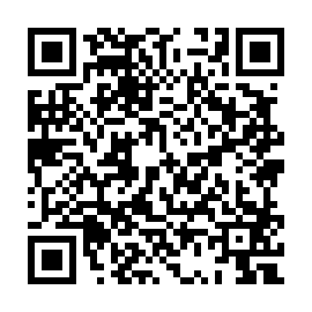 QR code for XV94838