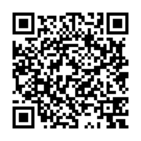 QR code for XZ08387