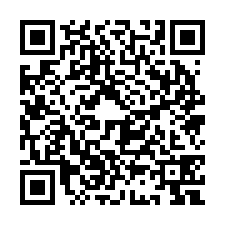 QR code for YC12387