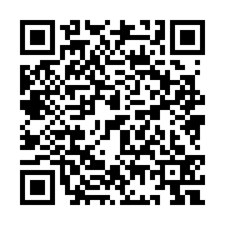 QR code for YG83338