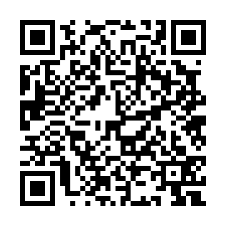 QR code for YJ20333