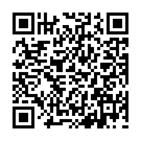 QR code for YJ99513