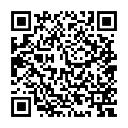 QR code for YL05533