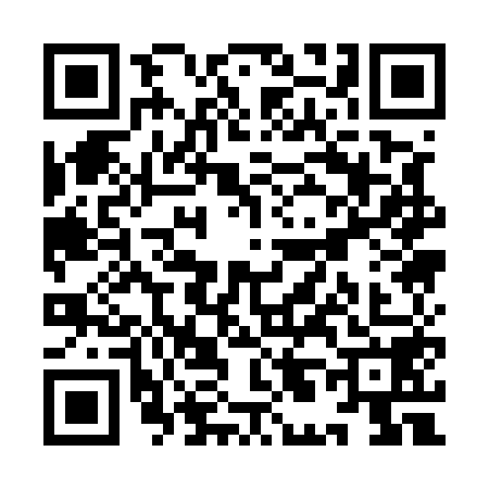 QR code for YL15581