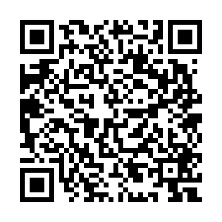 QR code for YL36497
