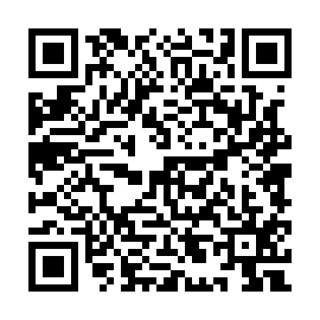 QR code for YL41155