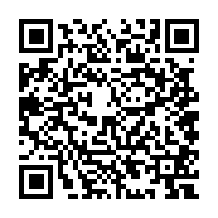 QR code for YL60009