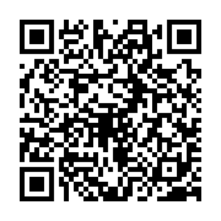 QR code for YL63913