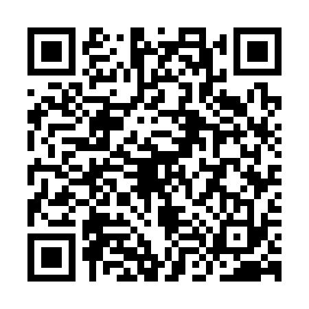 QR code for YL73334