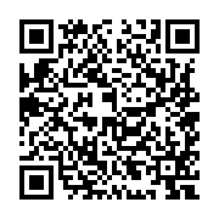 QR code for YL79955