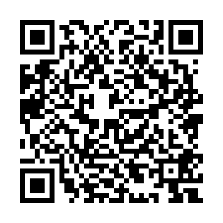 QR code for YL86081