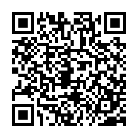 QR code for YP12063